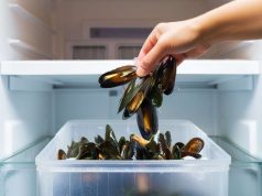 ¿Se pueden congelar los mejillones? Descubre consejos y trucos esenciales ¿Se pueden congelar los mejillones? Descubre consejos y trucos esenciales