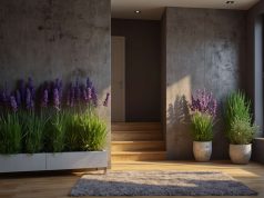 Truco infalible para eliminar los malos olores de un armario o closet Truco infalible para eliminar los malos olores de un armario o closet